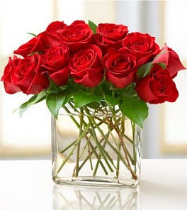 Roses Free Delivery in Winnipeg