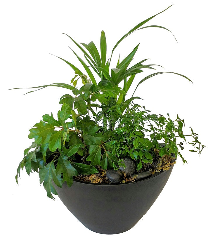 Botanicals
