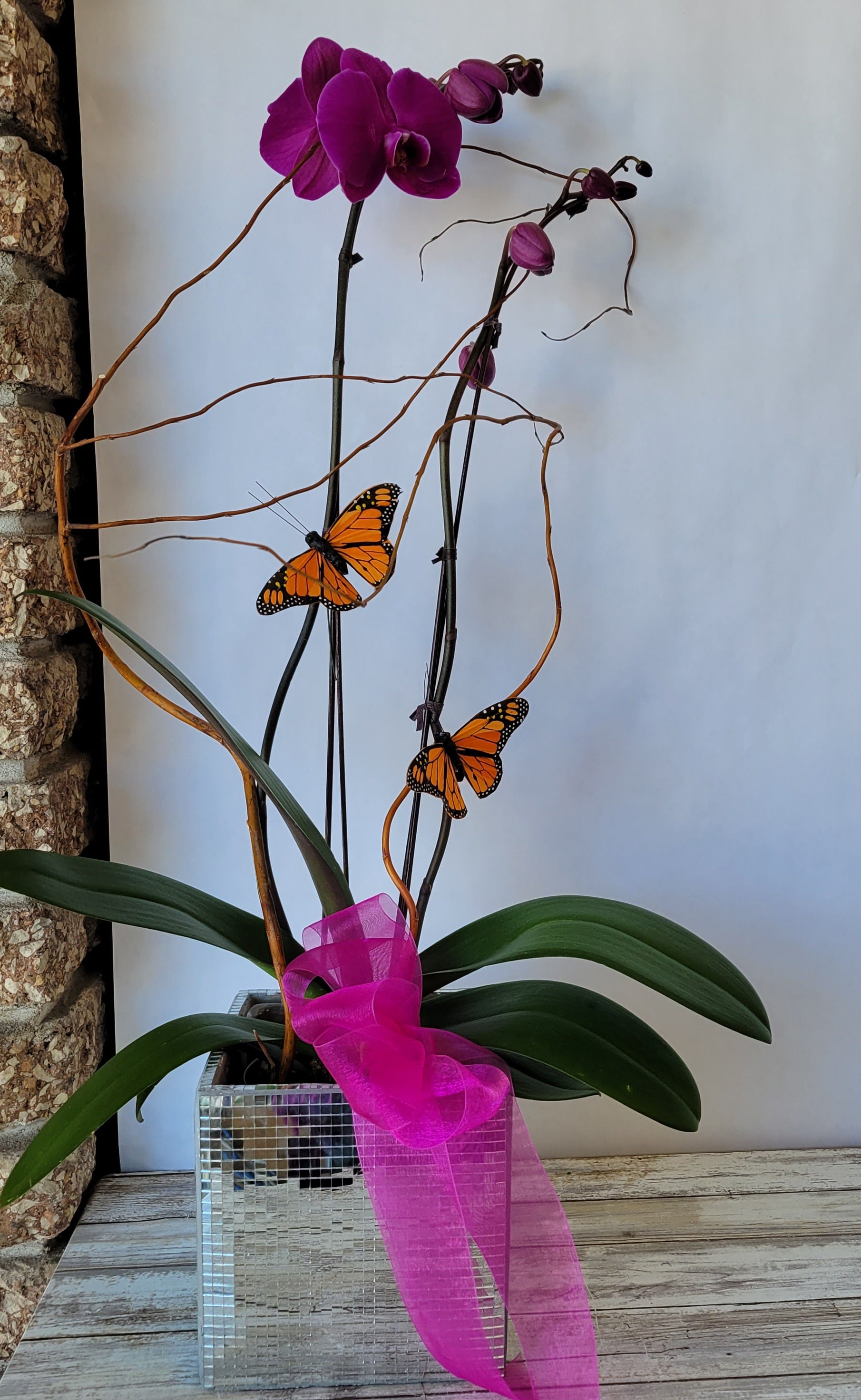 Orchid Love SOLD OUT