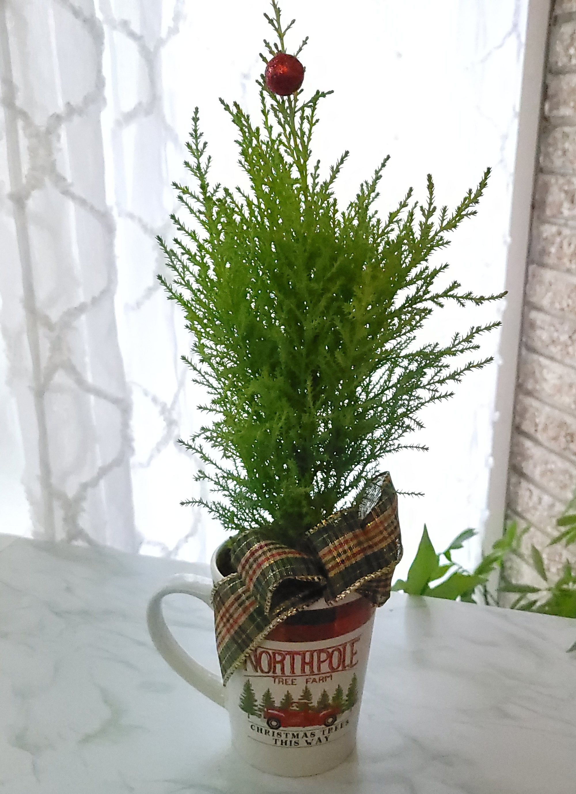 Holiday Tree!