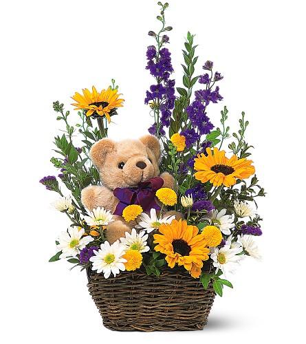 Beary Sweet