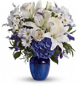 Beautiful blue flowers arranged in blue vase by Valley Flowers your best Winnipeg florist. White and Blue flowers available for delivery in Winnipeg.