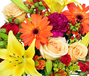 Floral Spectacular