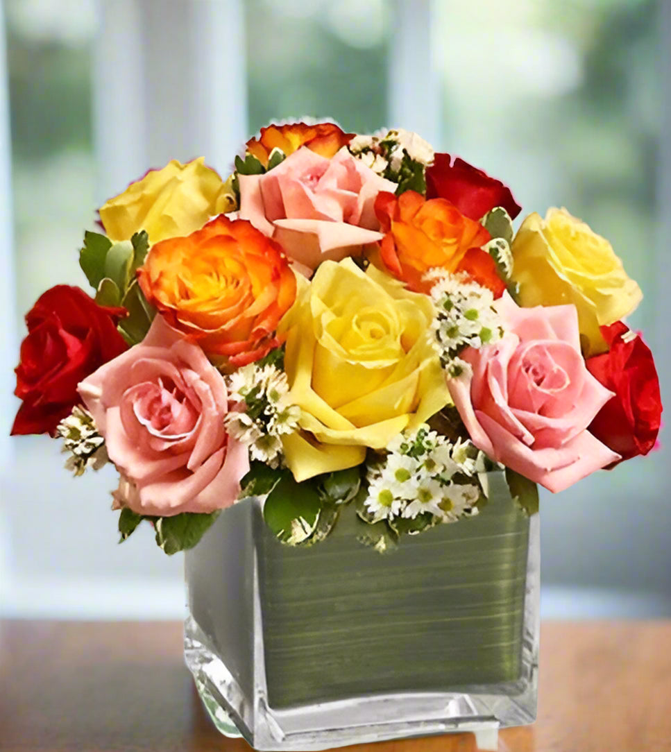 Modern Roses One Dozen Assorted
