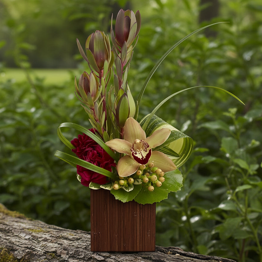 Orchid Eden