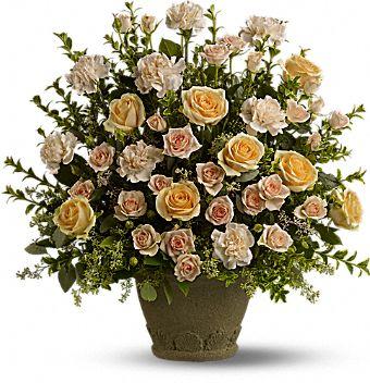 Rose Remembrance