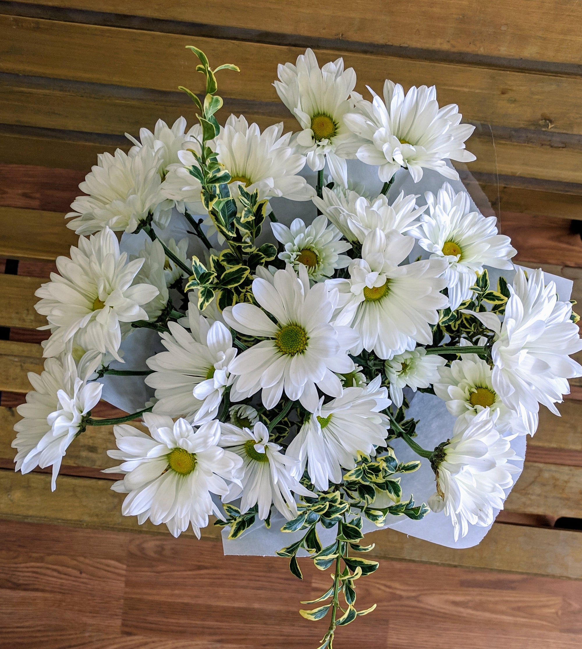Fresh as a Daisy