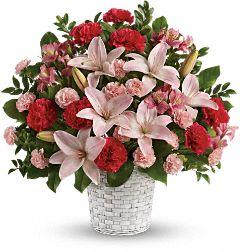 Sweet Sincerity