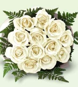 White Roses