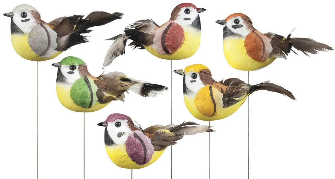 Colorful Bird