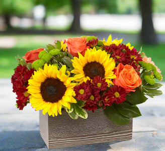 thanksgiving flowers in fall tones with free delivery in winnipeg